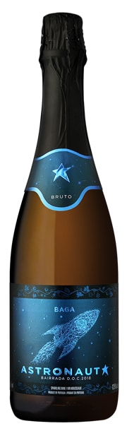 Astronauta Baga
