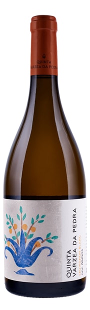 Quinta Várzea da Pedra Sauvignon Blanc