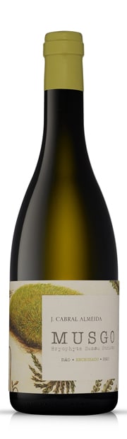 Musgo Encruzado