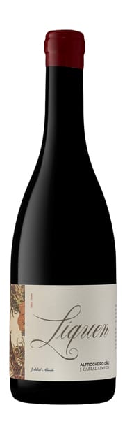 Líquen Alfrocheiro